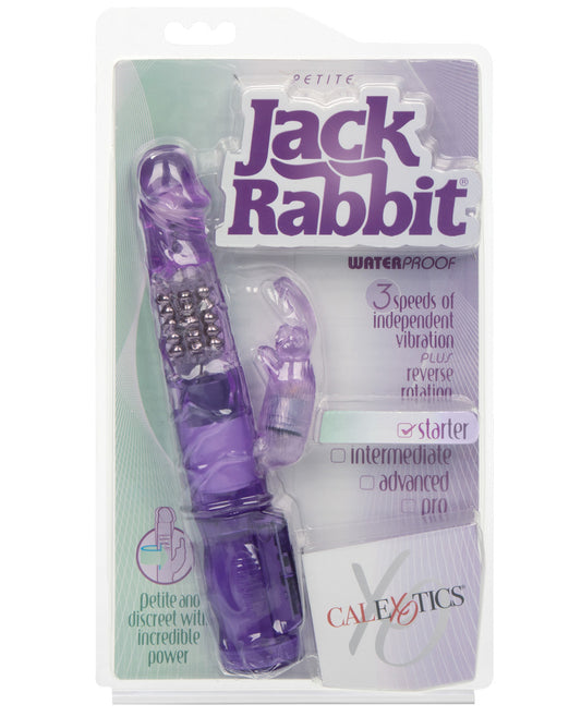 Jack Rabbits Petite - Purple - LUST Depot