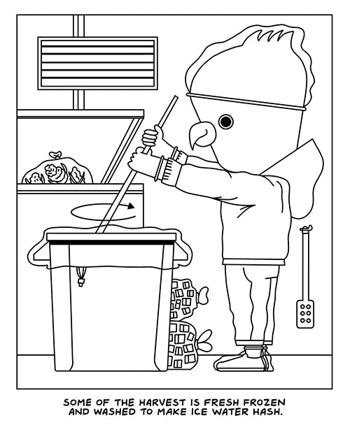 Wood Rocket A Visit To The Cannabis Farm Coloring Book - LUST Depot